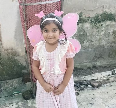মোহনগঞ্জে সড়ক দূর্ঘটনায় শিশুর করুন মুত্যু